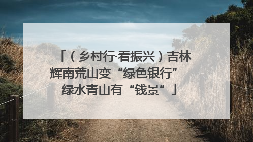 （乡村行·看振兴）吉林辉南荒山变“绿色银行” 绿水青山有“钱景”