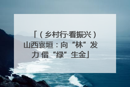 （乡村行·看振兴）山西襄垣：向“林”发力 借“绿”生金