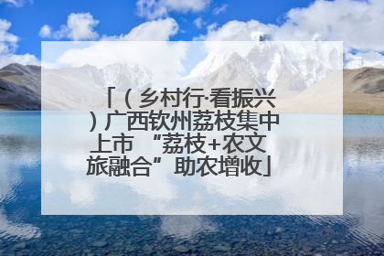 （乡村行·看振兴）广西钦州荔枝集中上市 “荔枝+农文旅融合”助农增收