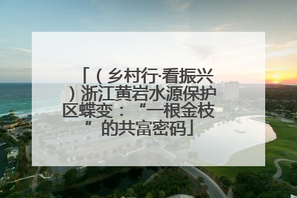 （乡村行·看振兴）浙江黄岩水源保护区蝶变：“一根金枝”的共富密码