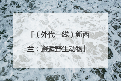 （外代一线）新西兰：邂逅野生动物