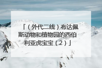 （外代二线）布达佩斯动物和植物园的西伯利亚虎宝宝（2）