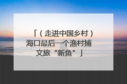 （走进中国乡村）海口最后一个渔村捕文旅“新鱼”