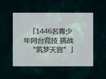1446名青少年同台竞技 挑战“筑梦天宫”