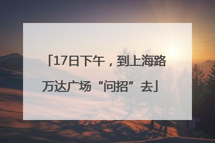 17日下午，到上海路万达广场“问招”去