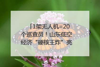 1架无人机=20个巡查员！山东低空经济“硬核王炸”亮相青岛，下一个万亿赛道藏在这里