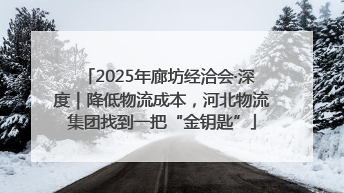 2025年廊坊经洽会·深度｜降低物流成本，河北物流集团找到一把“金钥匙”