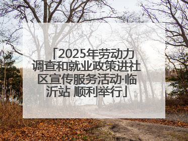 2025年劳动力调查和就业政策进社区宣传服务活动·临沂站 顺利举行