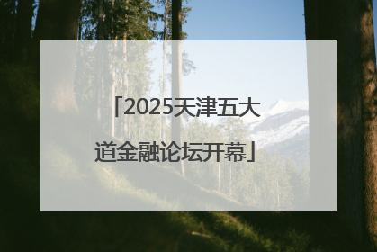 2025天津五大道金融论坛开幕