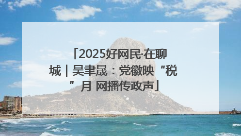 2025好网民·在聊城｜吴聿晟：党徽映“税”月 网播传政声