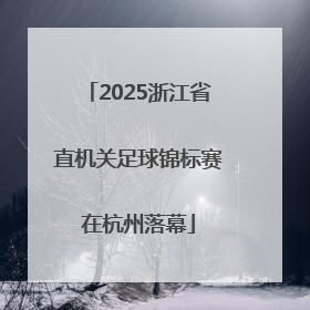 2025浙江省直机关足球锦标赛在杭州落幕