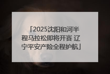 2025沈阳和河半程马拉松即将开赛 辽宁平安产险全程护航