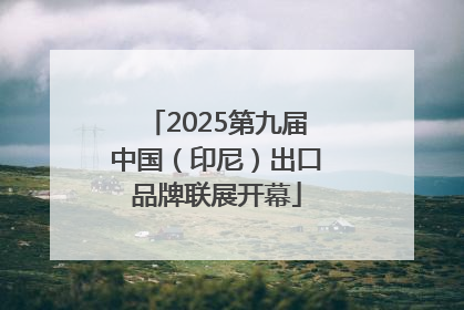 2025第九届中国（印尼）出口品牌联展开幕