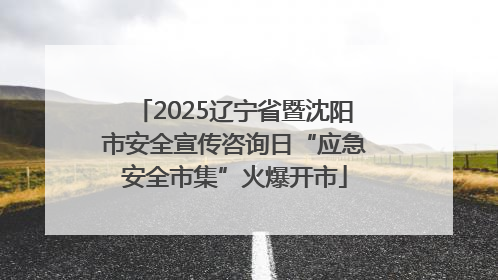 2025辽宁省暨沈阳市安全宣传咨询日“应急安全市集”火爆开市