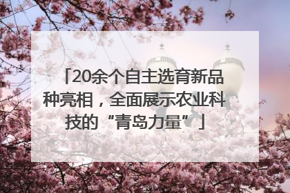20余个自主选育新品种亮相，全面展示农业科技的“青岛力量”
