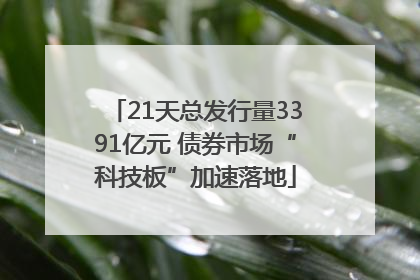 21天总发行量3391亿元 债券市场“科技板”加速落地