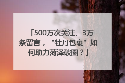 500万次关注、3万条留言，“牡丹包裹”如何助力菏泽破圈？