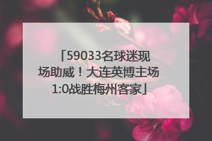59033名球迷现场助威！大连英博主场1:0战胜梅州客家