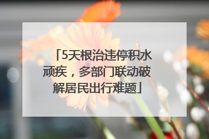 5天根治违停积水顽疾，多部门联动破解居民出行难题