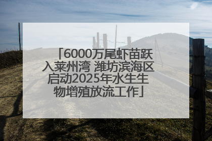 6000万尾虾苗跃入莱州湾 潍坊滨海区启动2025年水生生物增殖放流工作