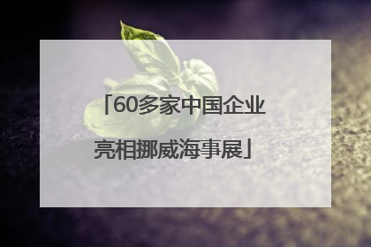 60多家中国企业亮相挪威海事展