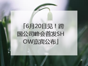 6月20日见！跨国公司峰会首发SHOW嘉宾公布