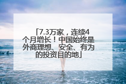 7.3万家，连续4个月增长！中国始终是外商理想、安全、有为的投资目的地