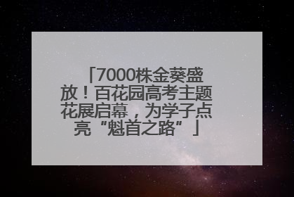7000株金葵盛放！百花园高考主题花展启幕，为学子点亮“魁首之路”