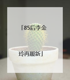 85后李金玲再履新