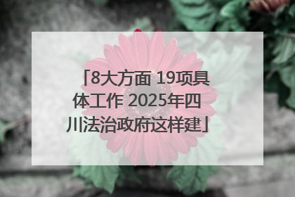 8大方面 19项具体工作 2025年四川法治政府这样建