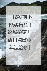 8岁前不能买盲盒！这场检察开放日点燃少年法治梦