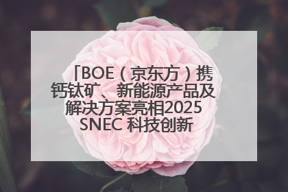 BOE（京东方）携钙钛矿、新能源产品及解决方案亮相2025 SNEC 科技创新赋能行业绿色发展