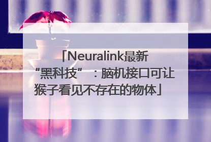 Neuralink最新“黑科技”：脑机接口可让猴子看见不存在的物体