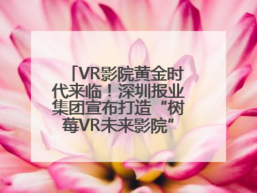 VR影院黄金时代来临！深圳报业集团宣布打造“树莓VR未来影院”_深圳新闻网